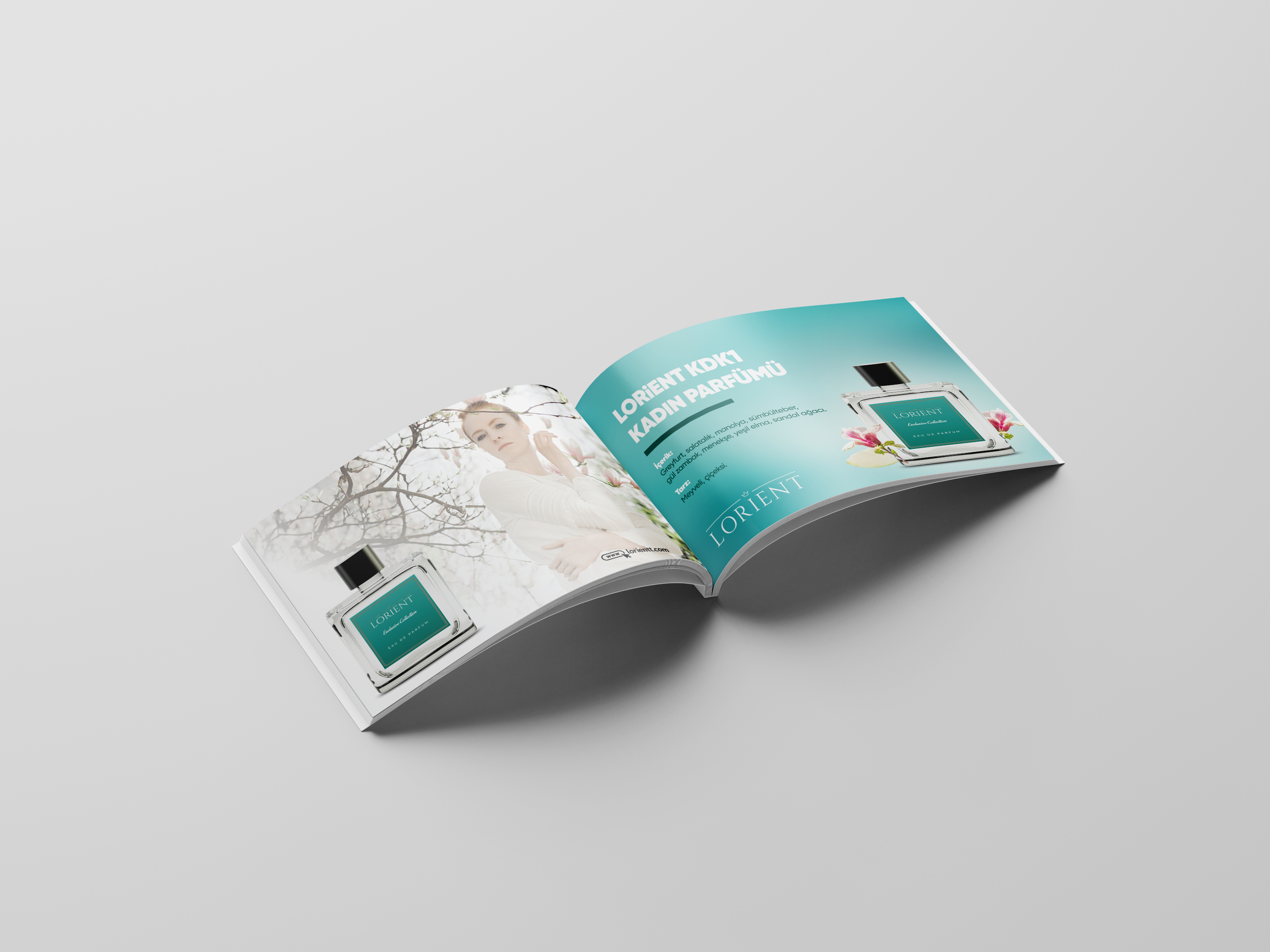 Portfolio Detail Image 3
